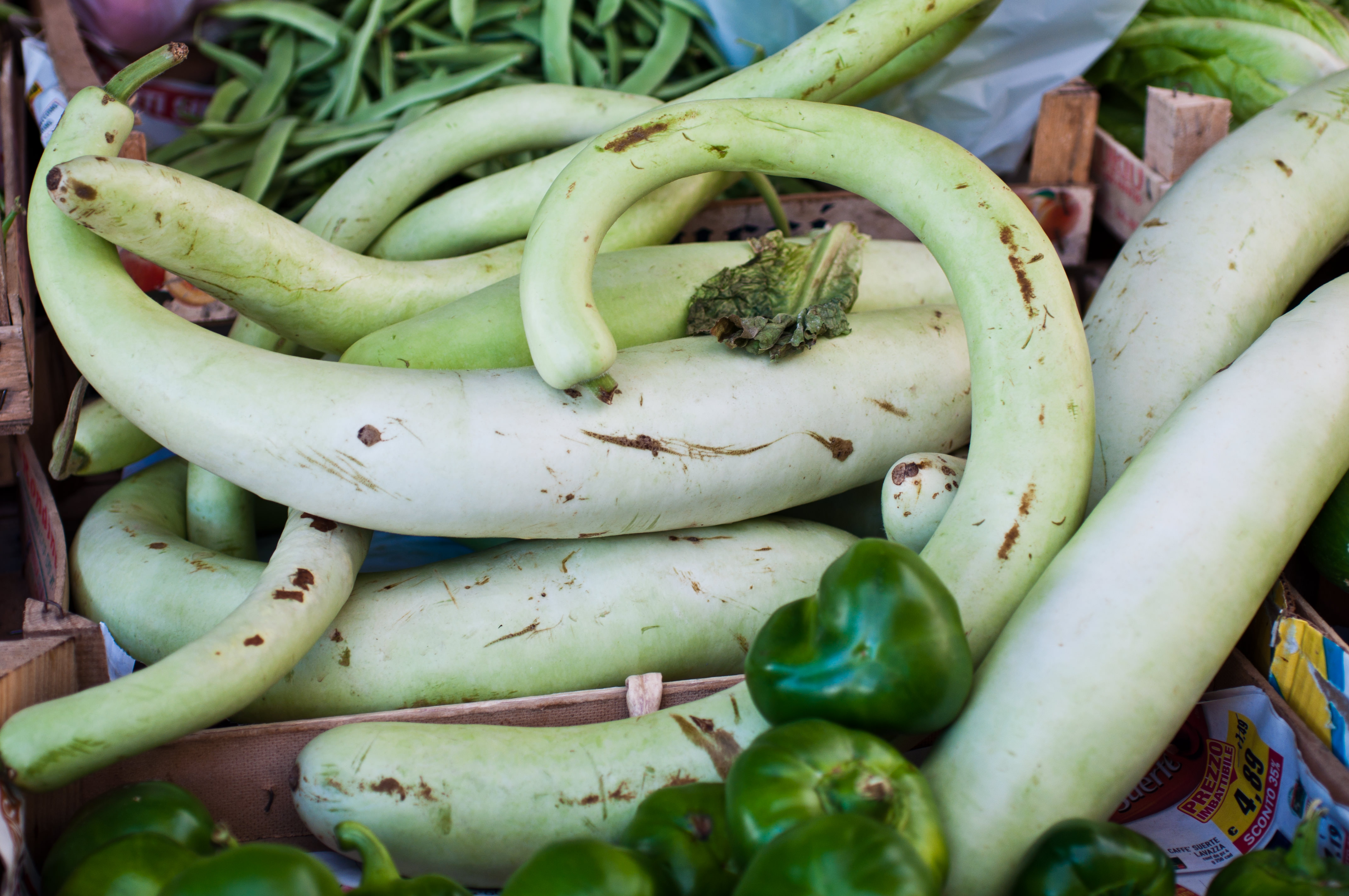 Calabria - Zucca lunga