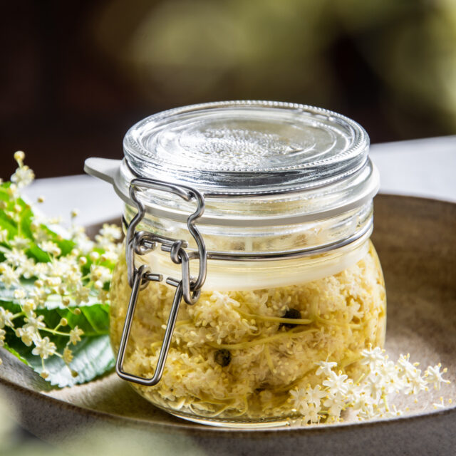 Vasetto con Giardiniera di fiori di sambuco